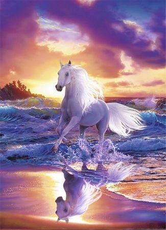 plakat przedstawia pędzącego, na tle zachodzącego słońca, brzegiem morza z rozwianą grzywą i ogonem białej maści konia arabskiego